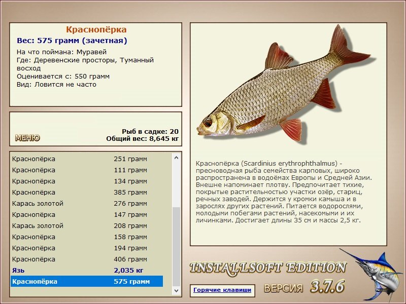 турниры • РУССКАЯ РЫБАЛКА