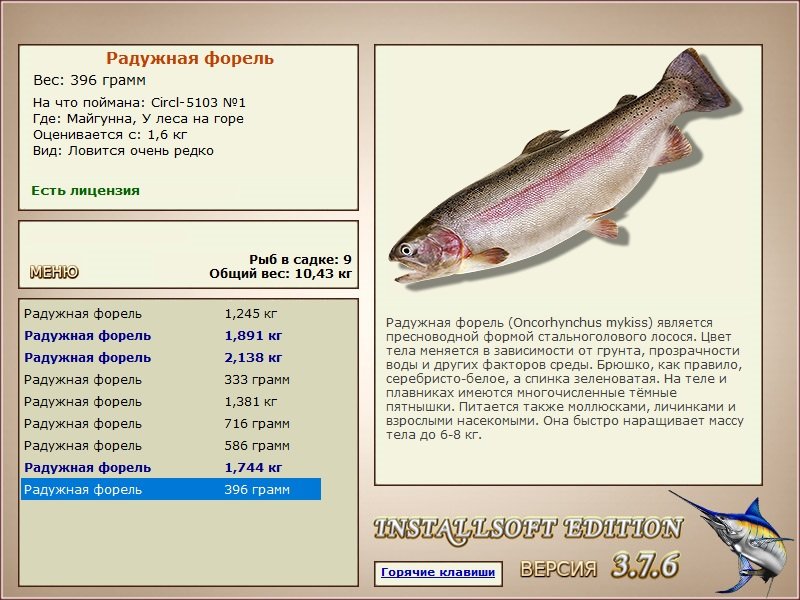 У леса на горе 