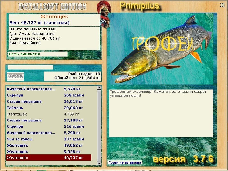 Наводнение 