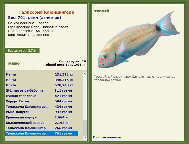 Талассома Клюнцингера 