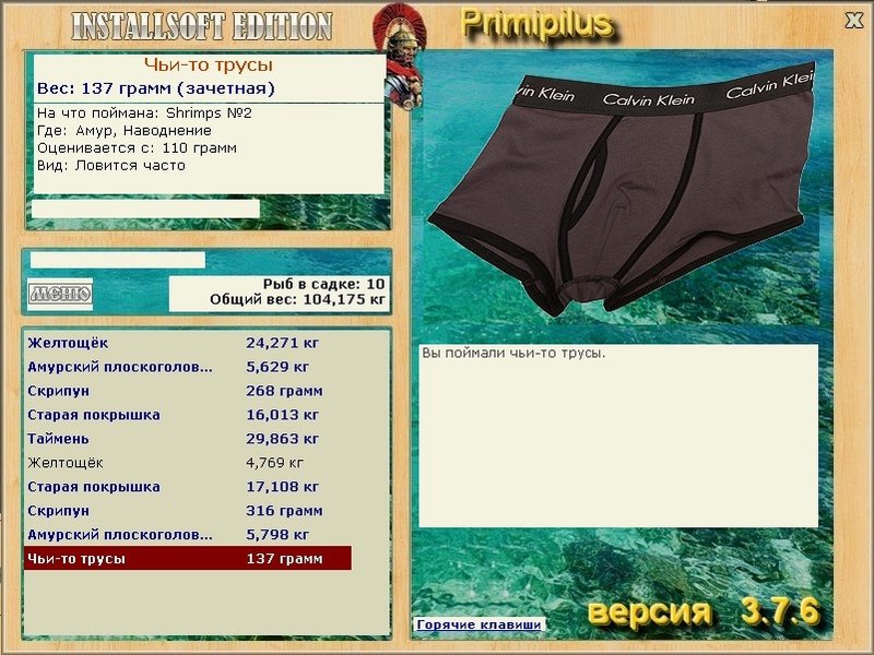 Наводнение 