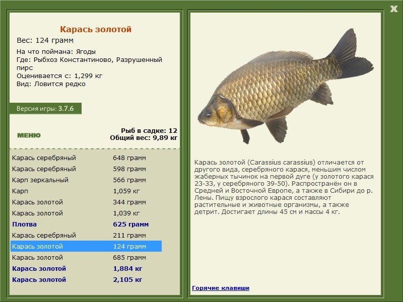 турниры • РУССКАЯ РЫБАЛКА