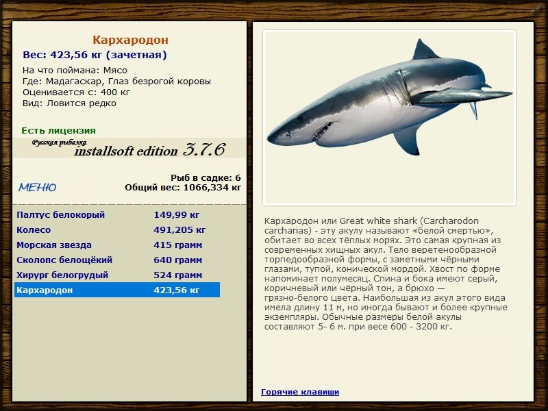 Глаз безрогой коровы 