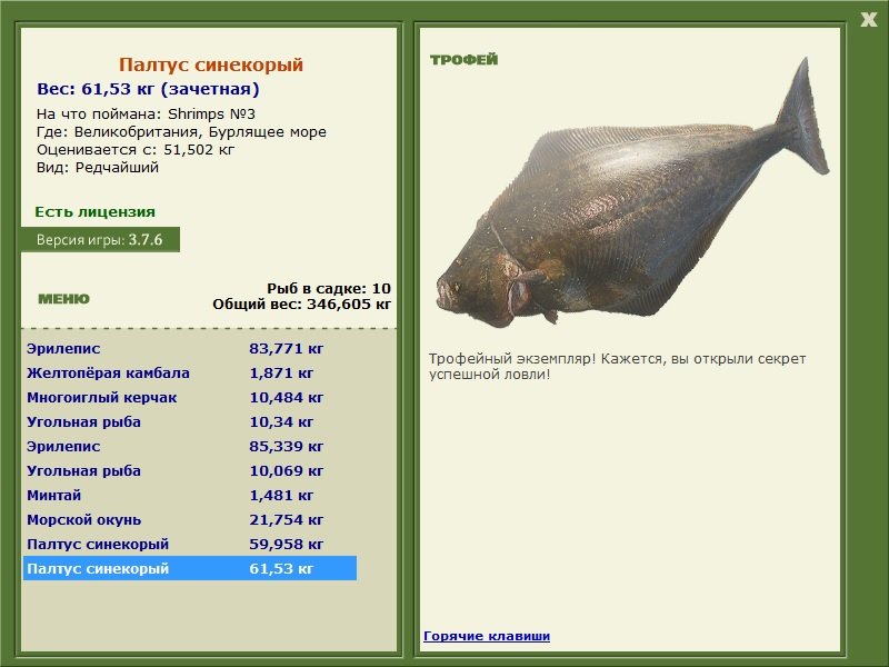 Палтус синекорый 