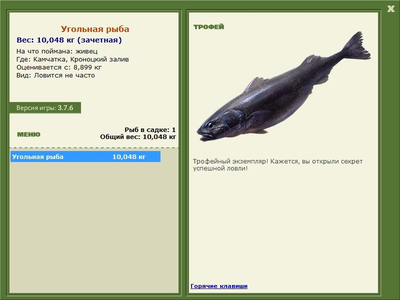 Угольная рыба 