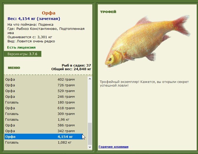 Подтопленная ива 
