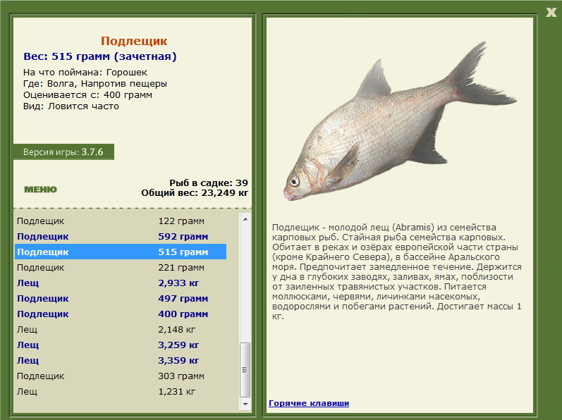 турниры • РУССКАЯ РЫБАЛКА