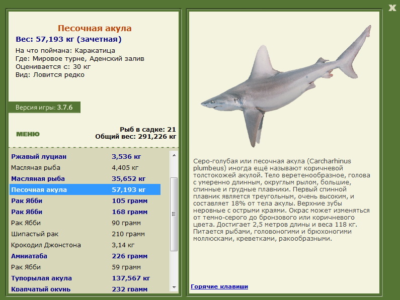 Аденский залив 