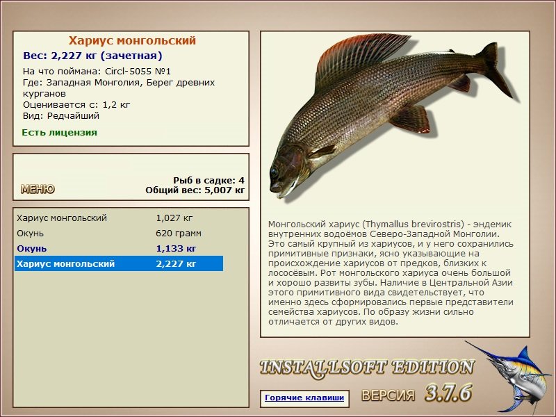 турниры • РУССКАЯ РЫБАЛКА