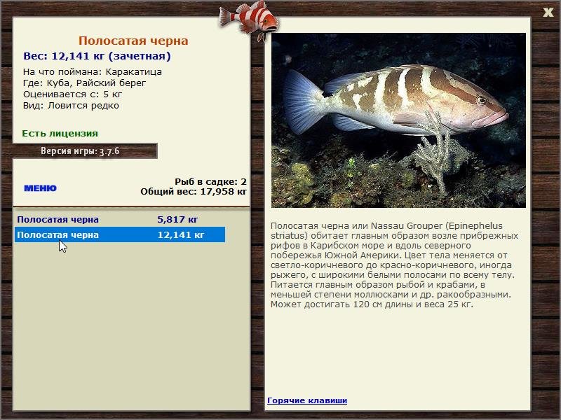  Сет • Praise-турниры • РУССКАЯ РЫБАЛКА