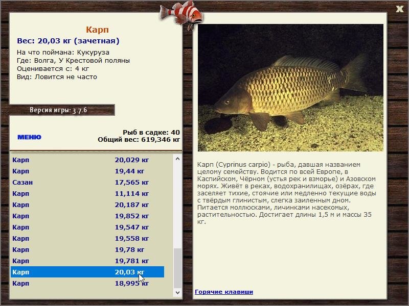  Сет • Praise-турниры • РУССКАЯ РЫБАЛКА