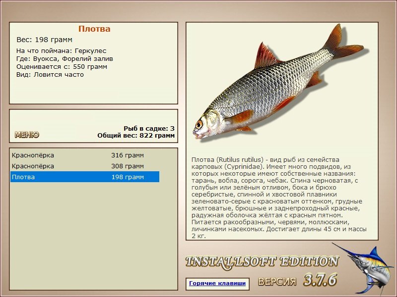 Форелий залив 