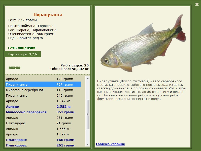 Паранапанема 