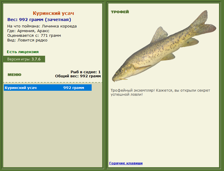 турниры • РУССКАЯ РЫБАЛКА
