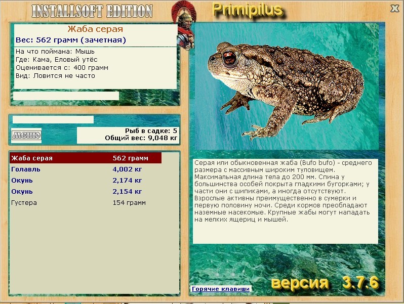Еловый утёс 