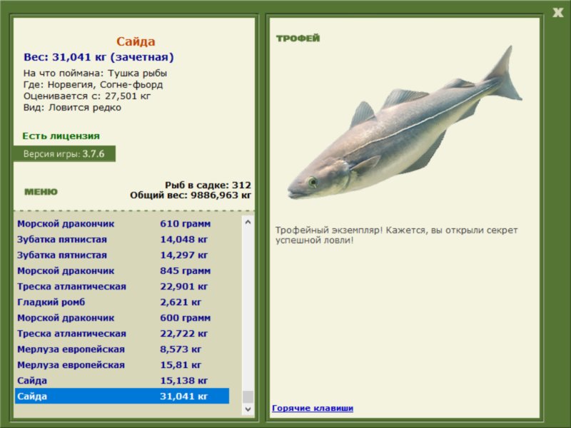 Сайда 