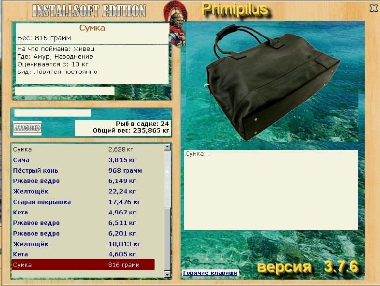 Сумка 