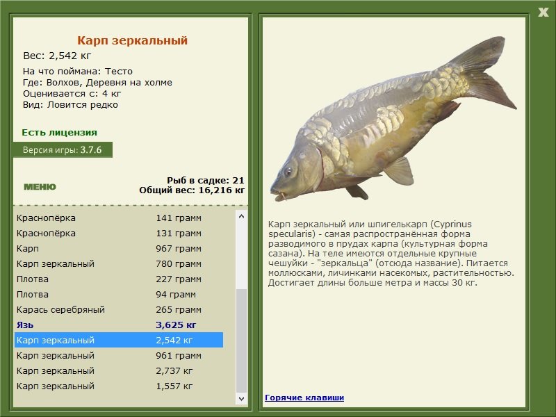 турниры • РУССКАЯ РЫБАЛКА