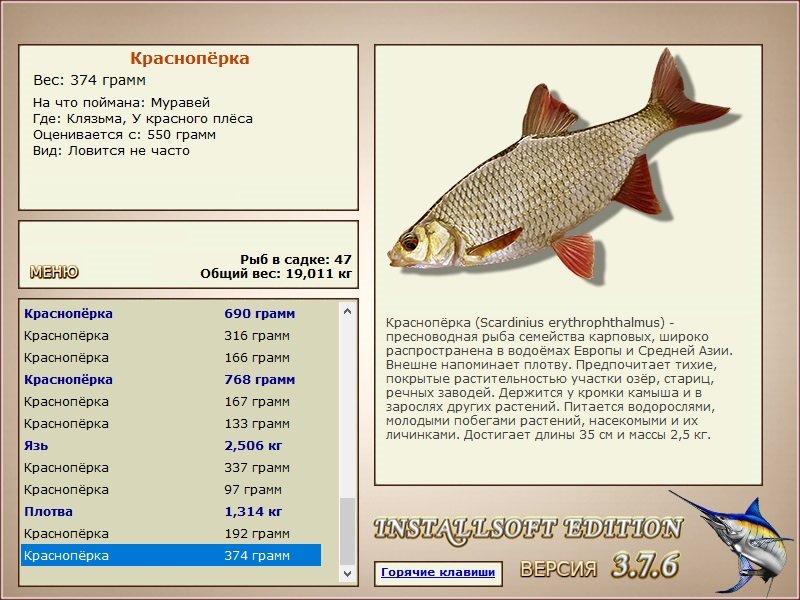 У красного плёса 