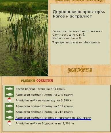 Рогоз и остролист 