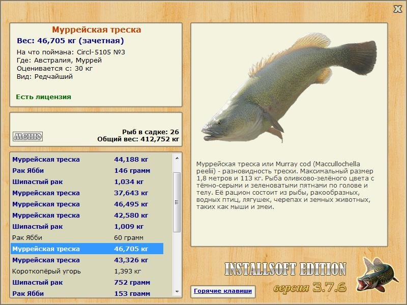 Муррей 