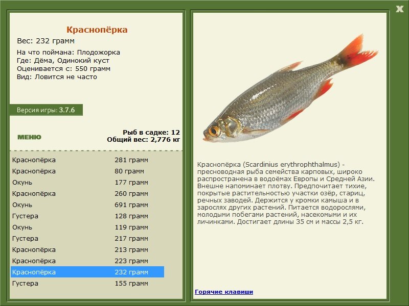 турниры • РУССКАЯ РЫБАЛКА
