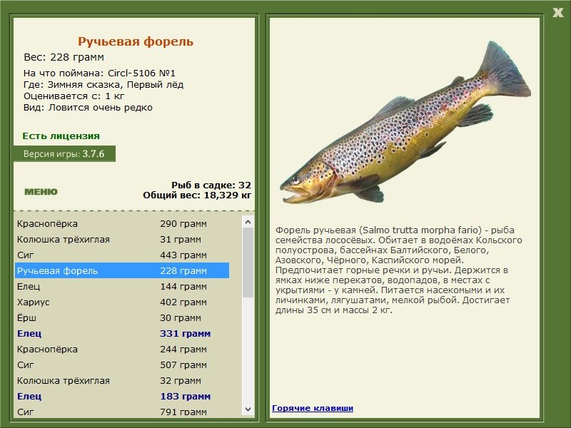 турниры • РУССКАЯ РЫБАЛКА