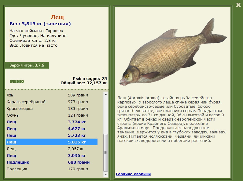 турниры • РУССКАЯ РЫБАЛКА