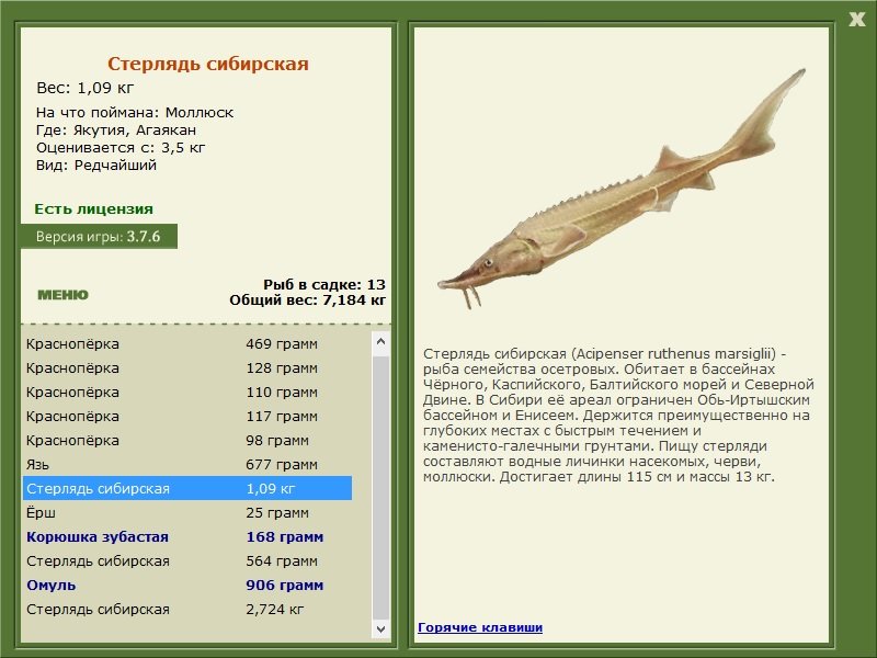 РУССКАЯ РЫБАЛКА Installsoft Edition 