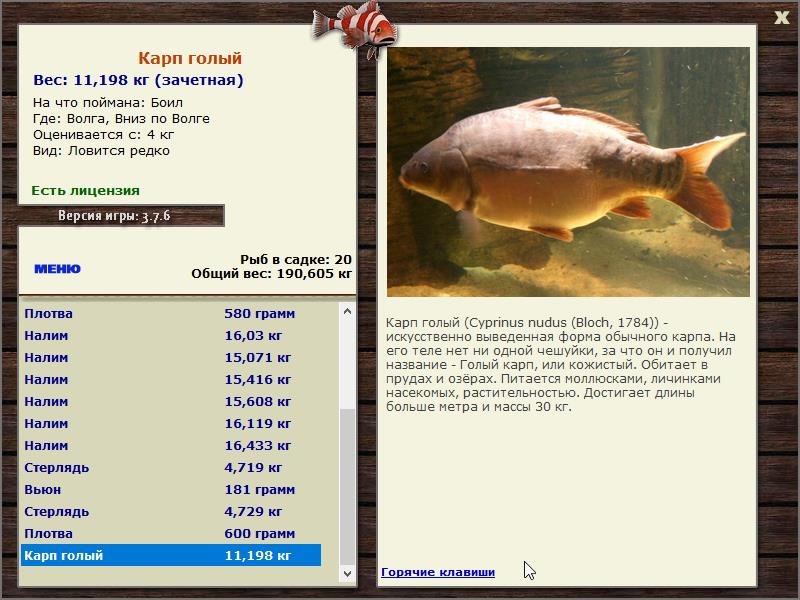  Сет • Praise-турниры • РУССКАЯ РЫБАЛКА