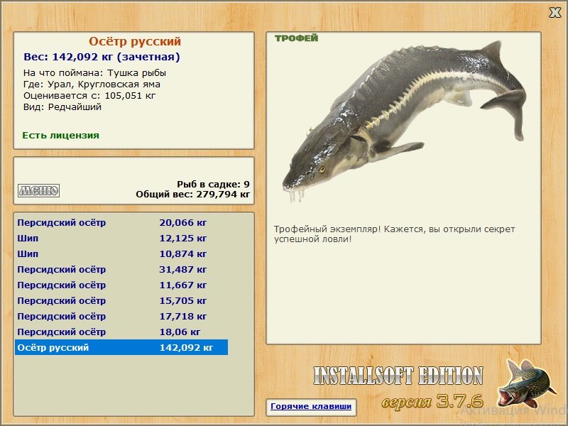 Осётр русский 