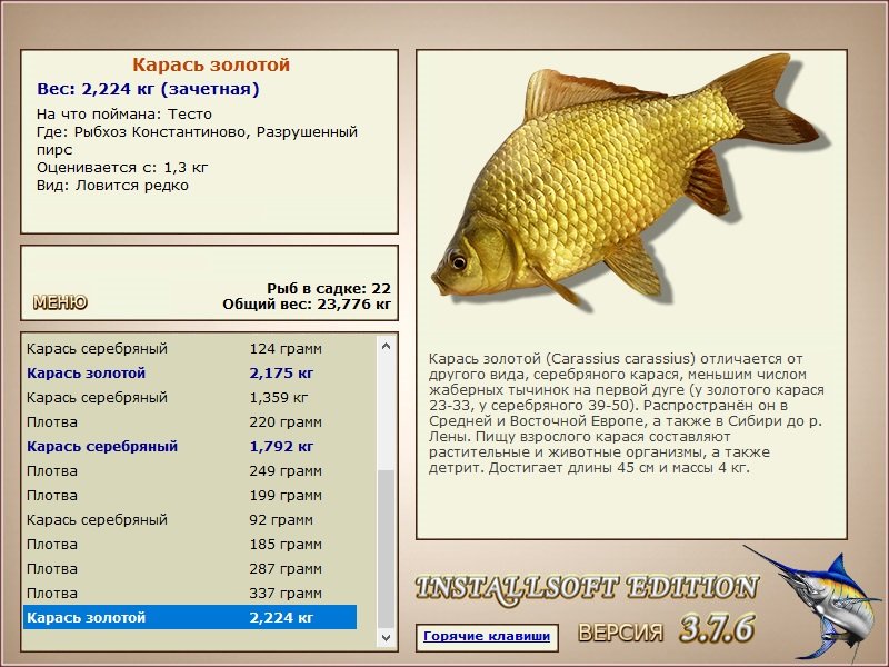 турниры • РУССКАЯ РЫБАЛКА