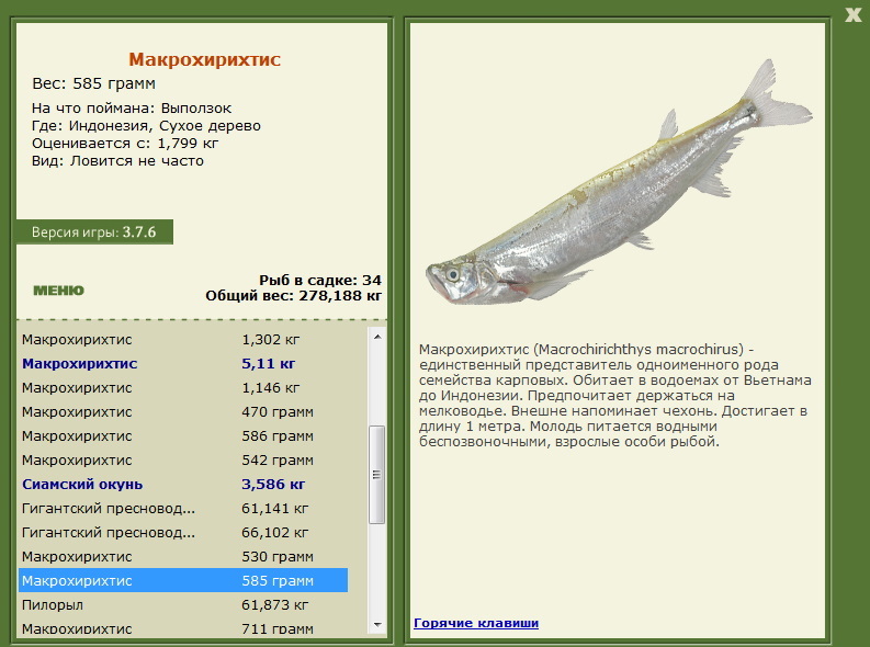 турниры • РУССКАЯ РЫБАЛКА