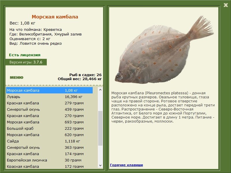 РУССКАЯ РЫБАЛКА Installsoft Edition 