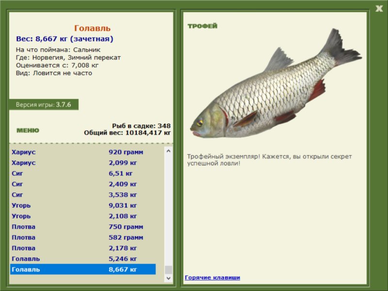 Зимний перекат 