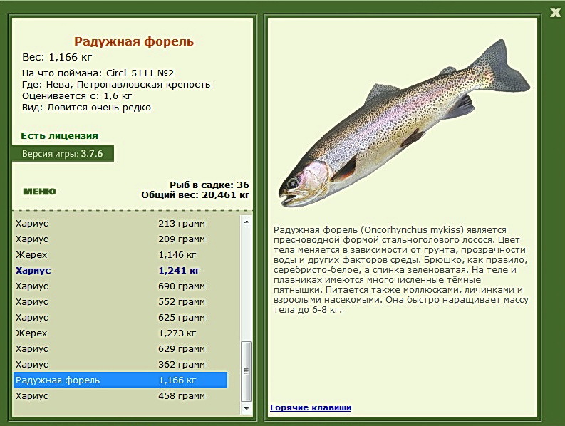 турниры • РУССКАЯ РЫБАЛКА
