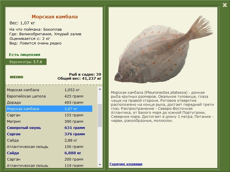 РУССКАЯ РЫБАЛКА Installsoft Edition 
