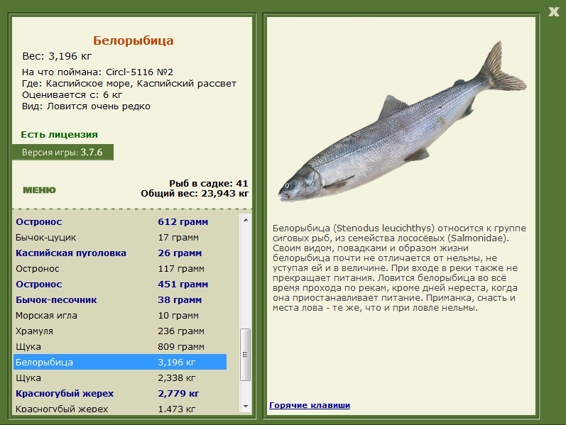 Каспийское море 