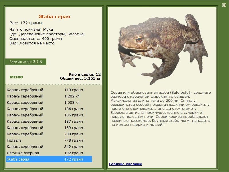 турниры • РУССКАЯ РЫБАЛКА