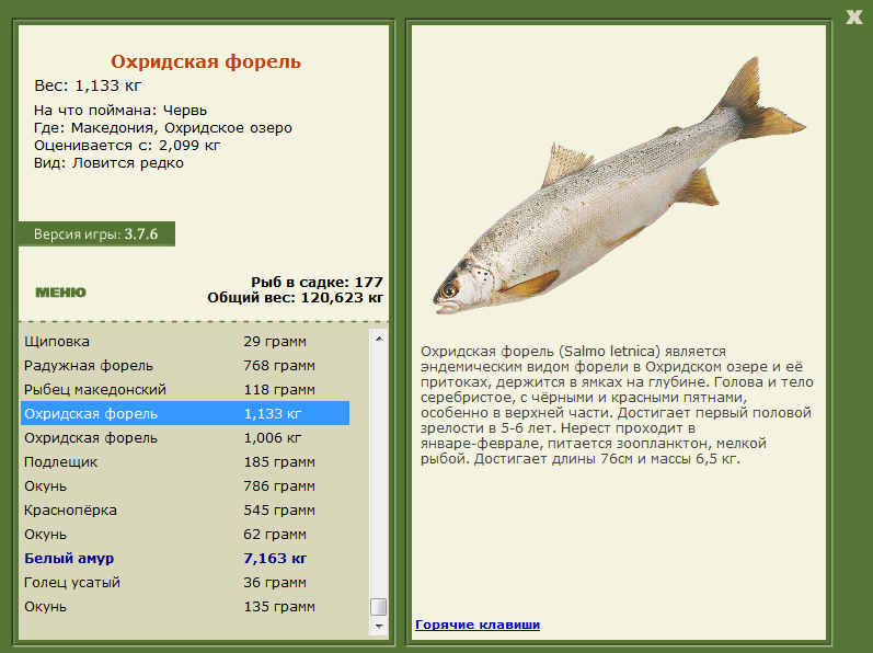 турниры • РУССКАЯ РЫБАЛКА