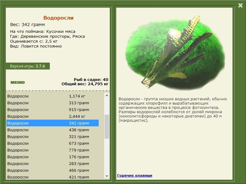 турниры • РУССКАЯ РЫБАЛКА