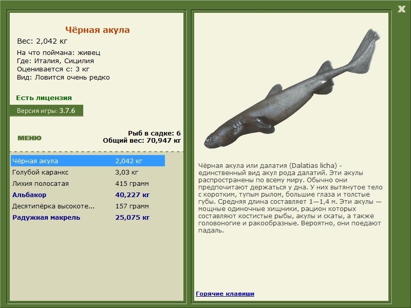 турниры • РУССКАЯ РЫБАЛКА