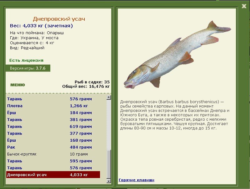 турниры • РУССКАЯ РЫБАЛКА