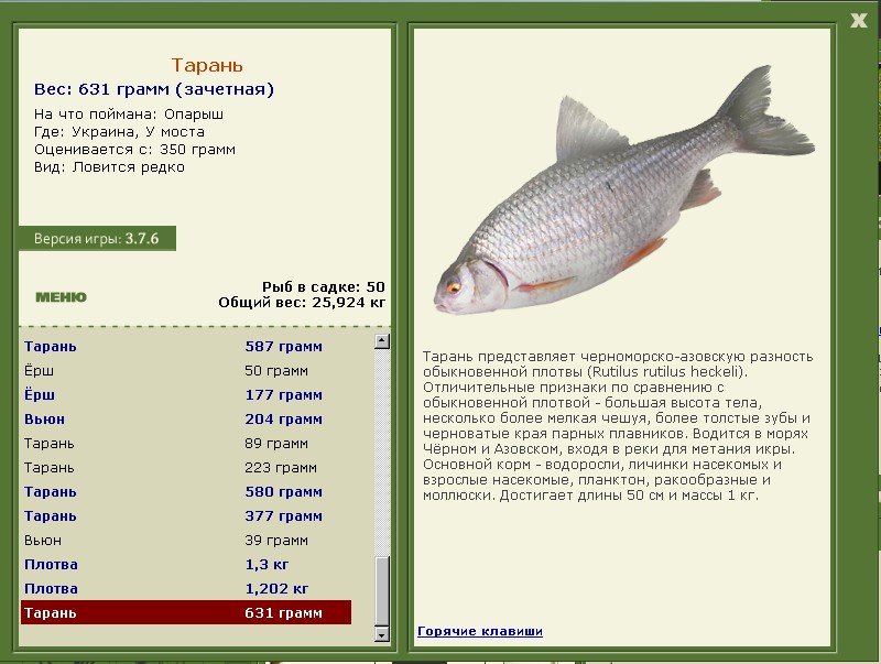 турниры • РУССКАЯ РЫБАЛКА