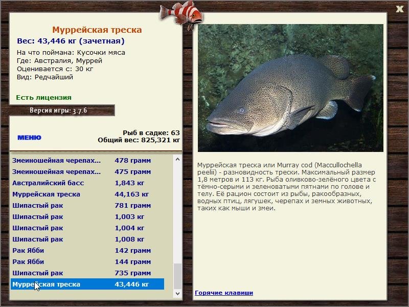  Сет • Praise-турниры • РУССКАЯ РЫБАЛКА