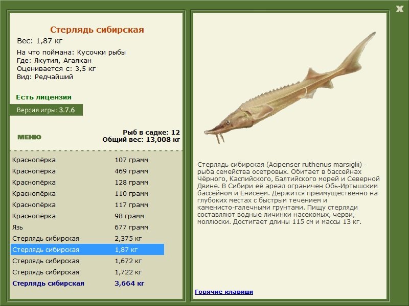 РУССКАЯ РЫБАЛКА Installsoft Edition 