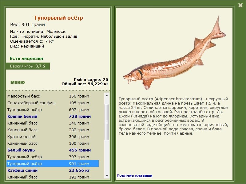 турниры • РУССКАЯ РЫБАЛКА