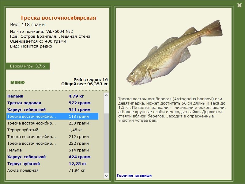 турниры • РУССКАЯ РЫБАЛКА