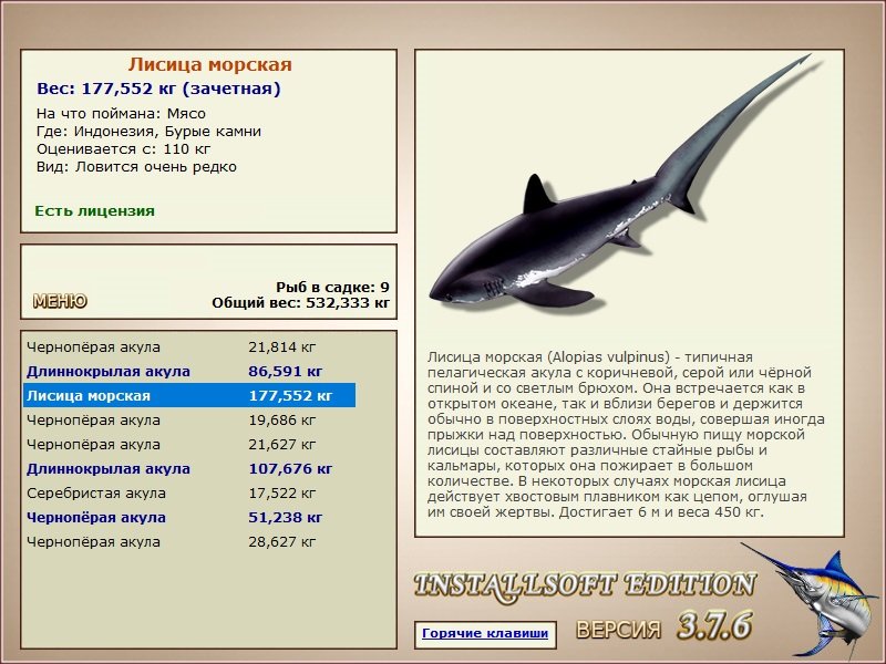 Бурые камни 