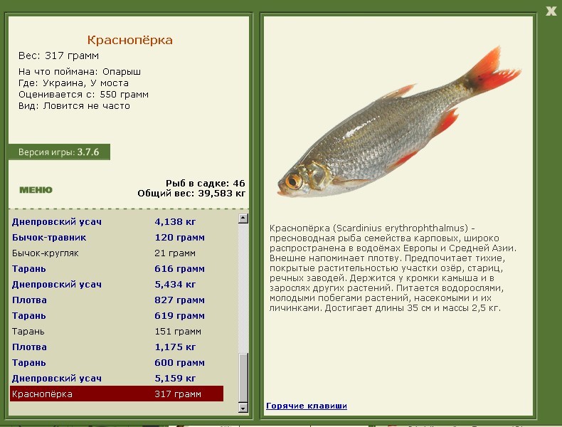 турниры • РУССКАЯ РЫБАЛКА